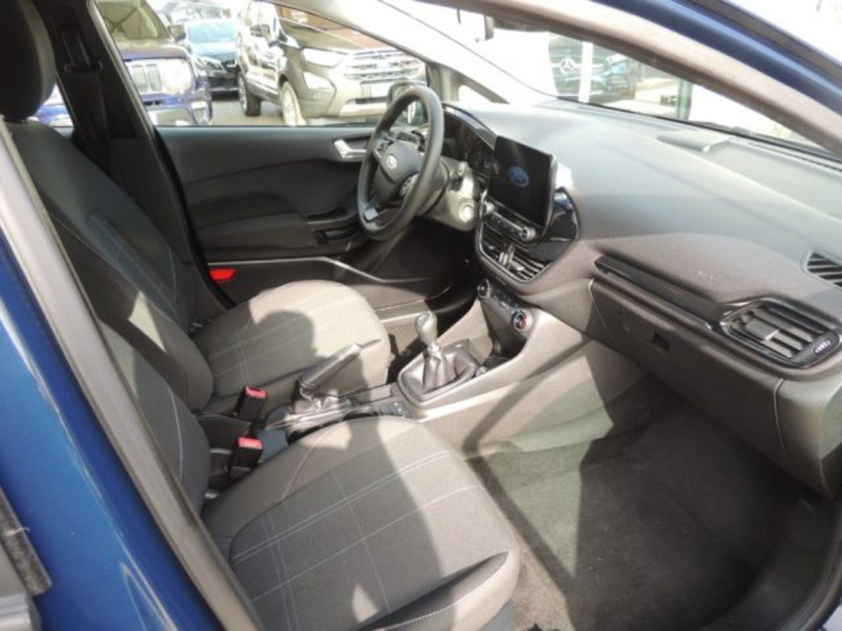 Ford Fiesta 1.5 EcoBlue 5 porte Business High (6)