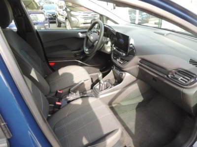 Ford Fiesta 1.5 EcoBlue 5 porte Business High (6)