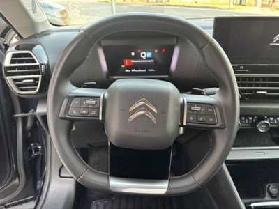 Citroen C4 1.5 bluehdi Max s&s 130cv eat8 (9)