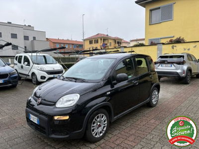 Fiat Panda 1.0 firefly hybrid s&s 70cv 5p.ti usata