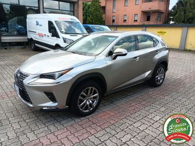 Lexus NX Hybrid 4WD Luxury usata