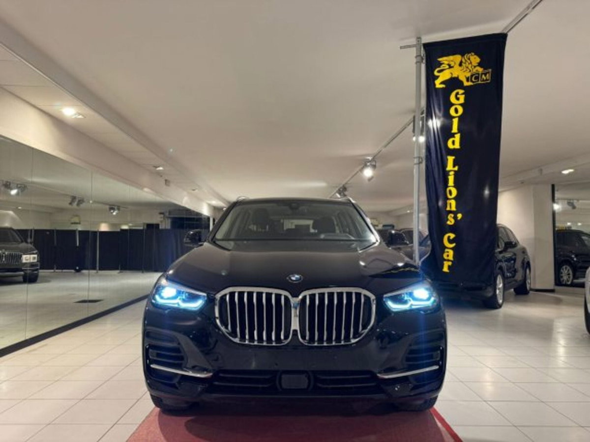 BMW X5 xDrive25d (2)