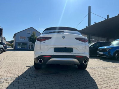 Alfa Romeo Stelvio Stelvio 2.2 Turbodiesel 190 CV AT8 Q4 Super Business (7)