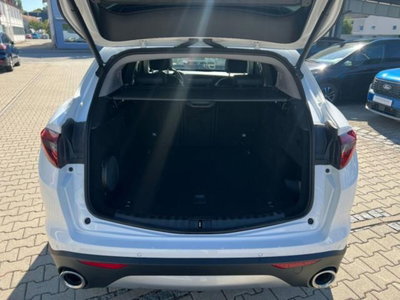 Alfa Romeo Stelvio Stelvio 2.2 Turbodiesel 190 CV AT8 Q4 Super Business (8)