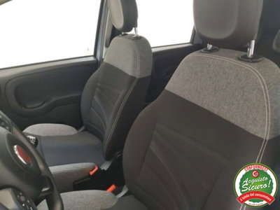 Fiat Panda 1.0 firefly hybrid s&s 70cv 5p.ti (10)
