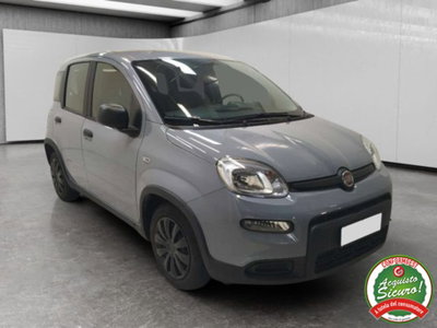 Fiat Panda 1.0 firefly hybrid s&s 70cv 5p.ti (3)