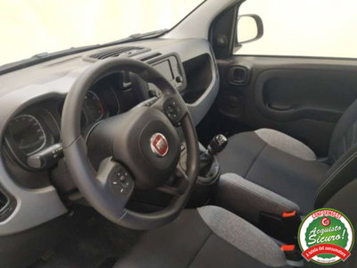 Fiat Panda 1.0 firefly hybrid s&s 70cv 5p.ti (8)