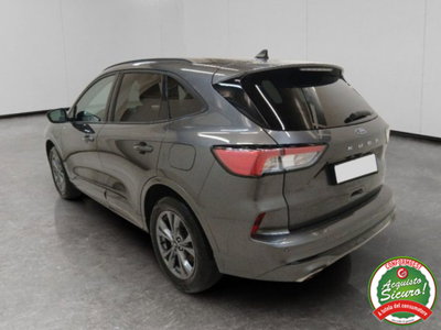 Ford Kuga 2.5 Plug In Hybrid 225 CV CVT 2WD ST-Line (6)