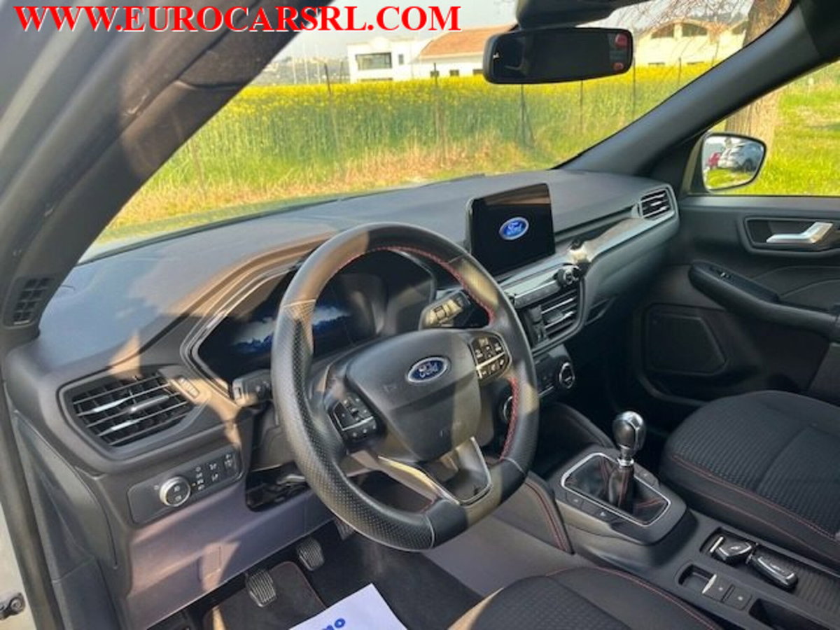 Ford Kuga 1.5 EcoBlue 120 CV 2WD ST-Line (10)