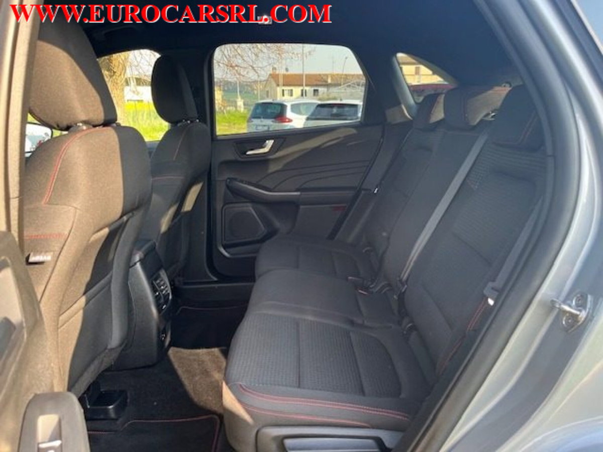 Ford Kuga 1.5 EcoBlue 120 CV 2WD ST-Line (19)