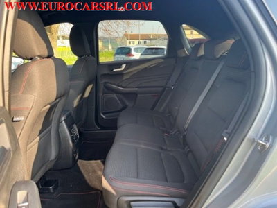Ford Kuga 1.5 EcoBlue 120 CV 2WD ST-Line (19)