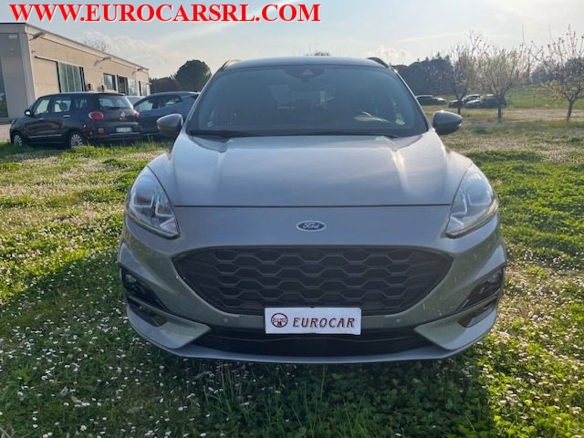 Ford Kuga 1.5 EcoBlue 120 CV 2WD ST-Line (2)
