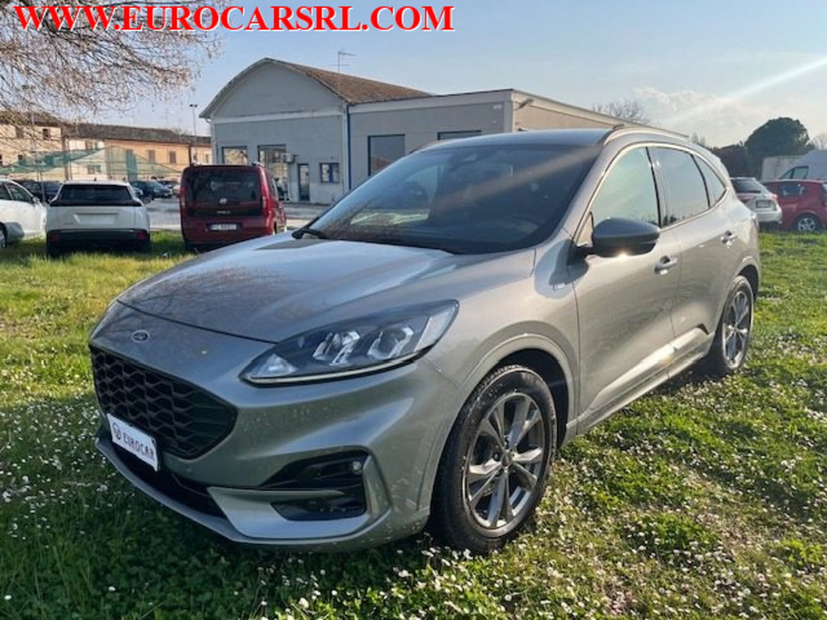Ford Kuga 1.5 EcoBlue 120 CV 2WD ST-Line (3)