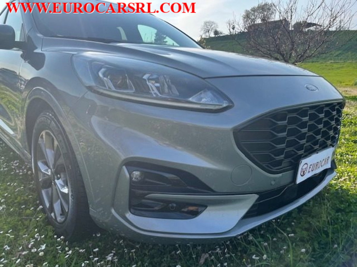 Ford Kuga 1.5 EcoBlue 120 CV 2WD ST-Line (4)