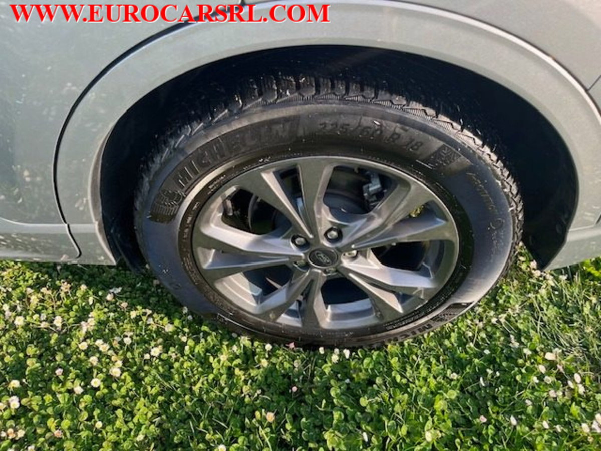 Ford Kuga 1.5 EcoBlue 120 CV 2WD ST-Line (5)