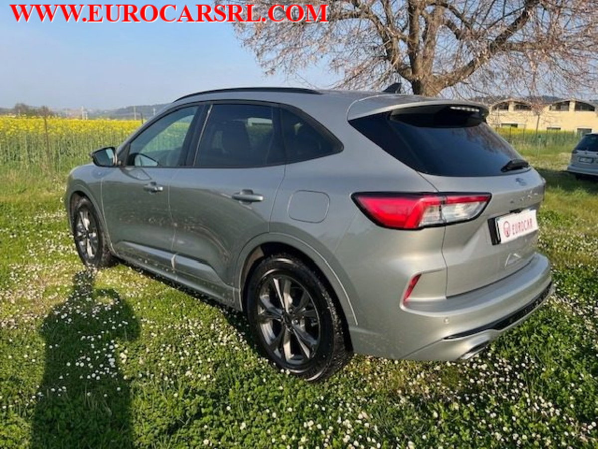 Ford Kuga 1.5 EcoBlue 120 CV 2WD ST-Line (6)