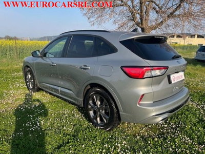 Ford Kuga 1.5 EcoBlue 120 CV 2WD ST-Line (6)
