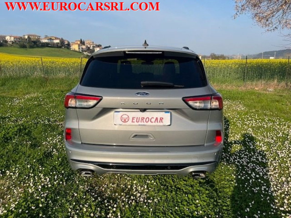 Ford Kuga 1.5 EcoBlue 120 CV 2WD ST-Line (7)