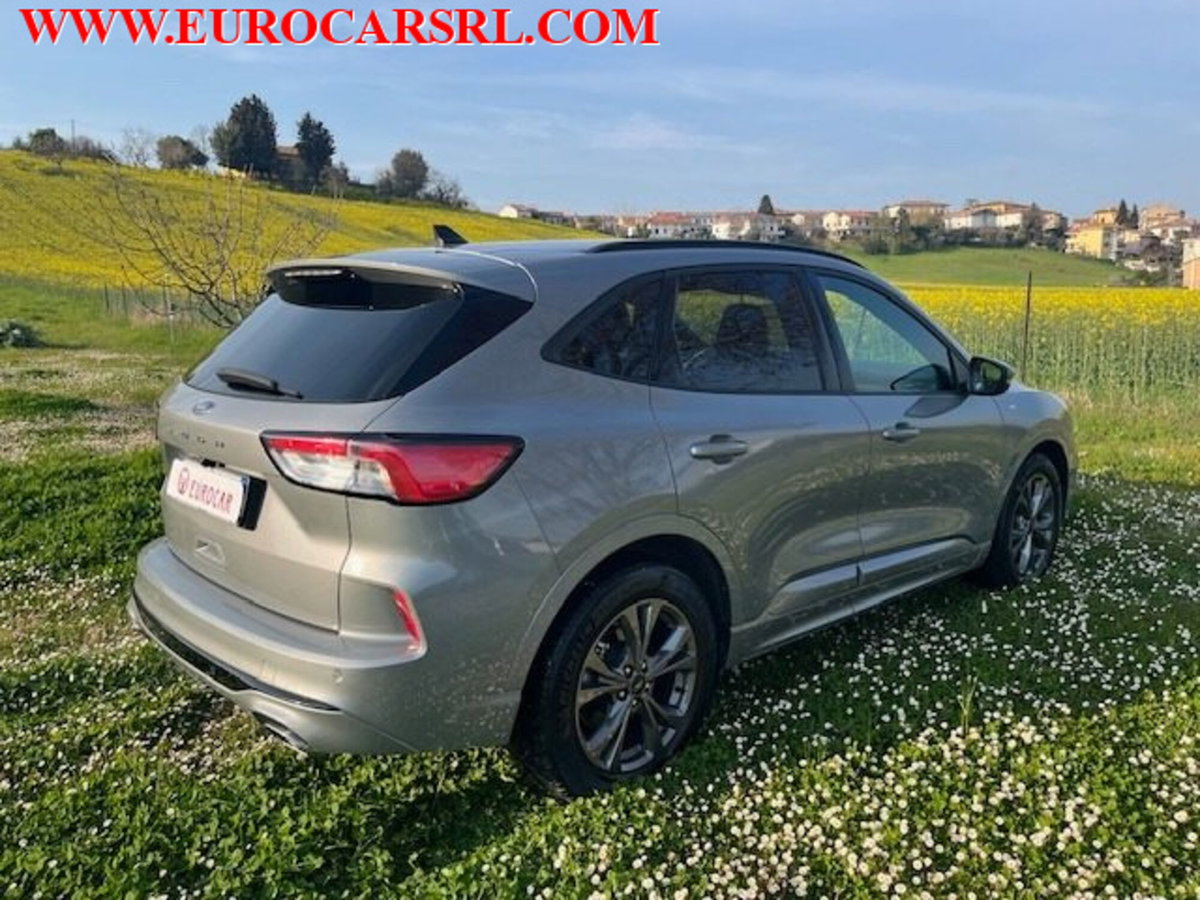 Ford Kuga 1.5 EcoBlue 120 CV 2WD ST-Line (8)