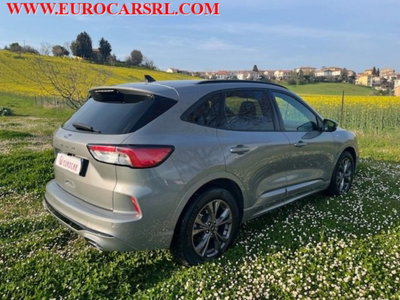 Ford Kuga 1.5 EcoBlue 120 CV 2WD ST-Line (8)