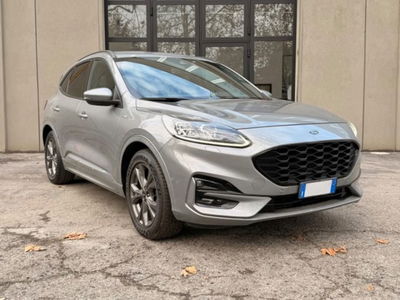 Ford Kuga 1.5 EcoBlue 120 CV 2WD ST-Line usata