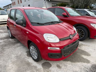 Fiat Panda 1.0 firefly hybrid Icon s&s 70cv nuova