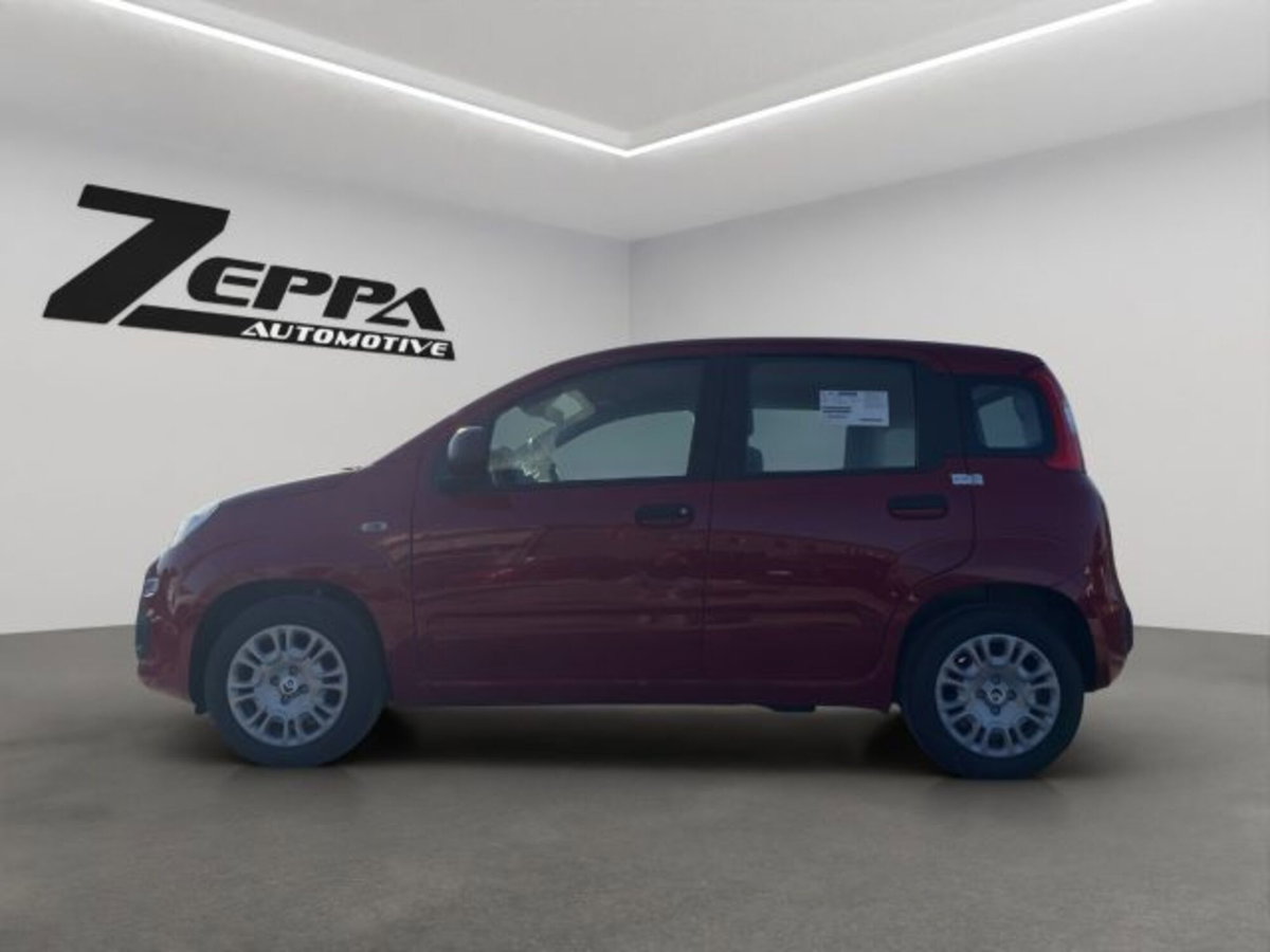 Fiat Panda 1.0 firefly hybrid Icon s&s 70cv (2)