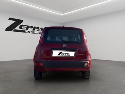 Fiat Panda 1.0 firefly hybrid Icon s&s 70cv (4)