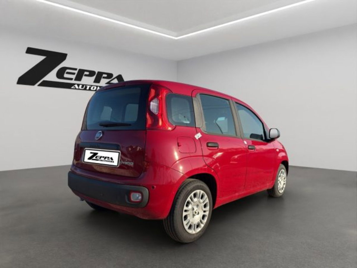 Fiat Panda 1.0 firefly hybrid Icon s&s 70cv (5)