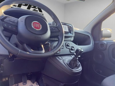 Fiat Panda 1.0 firefly hybrid Icon s&s 70cv (8)
