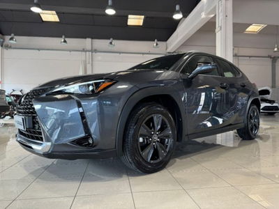 Lexus UX 300e 72,8kWh Urban usata
