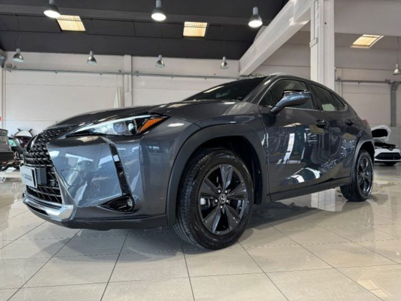 Lexus UX 300e 72,8kWh Urban