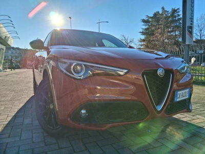 Alfa Romeo Stelvio Stelvio 2.2 Turbodiesel 160 CV AT8 RWD Sprint (19)