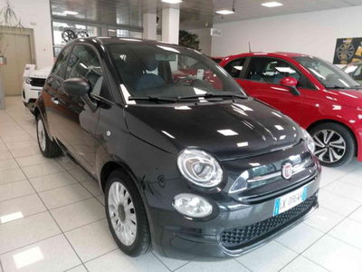 Fiat 500 1.0 Hybrid Red usata
