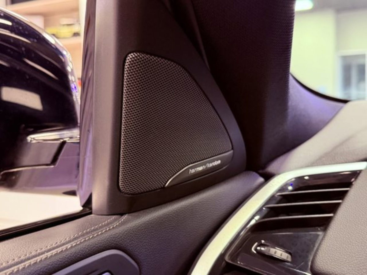 BMW X6 xDrive30d Msport (18)