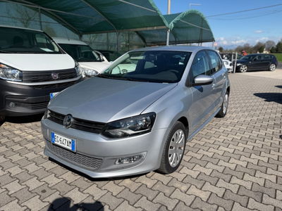 Volkswagen Polo 1.2 5 porte United usata
