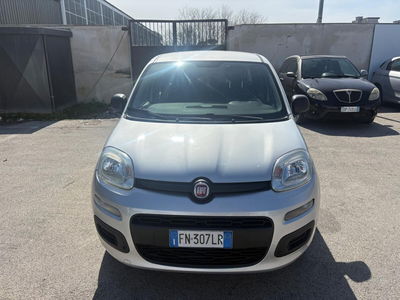 Fiat Panda 1.2 EasyPower Easy usata