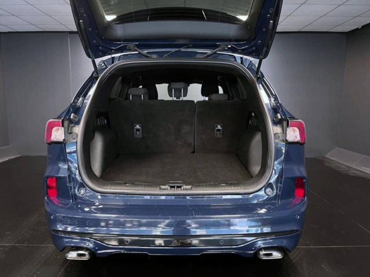 Ford Kuga 2.0 EcoBlue 120 CV aut. 2WD ST-Line X (13)