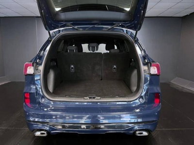 Ford Kuga 2.0 EcoBlue 120 CV aut. 2WD ST-Line X (13)