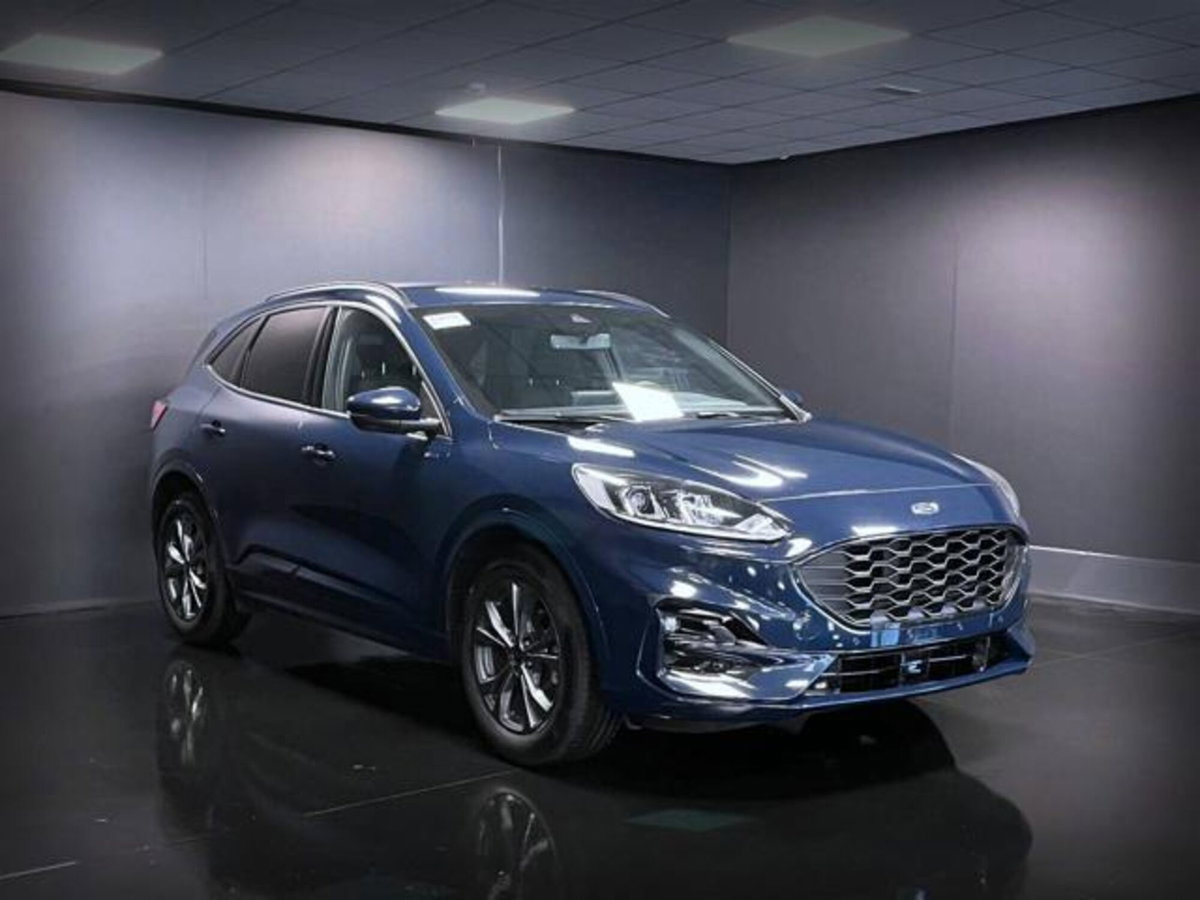 Ford Kuga 2.0 EcoBlue 120 CV aut. 2WD ST-Line X (3)