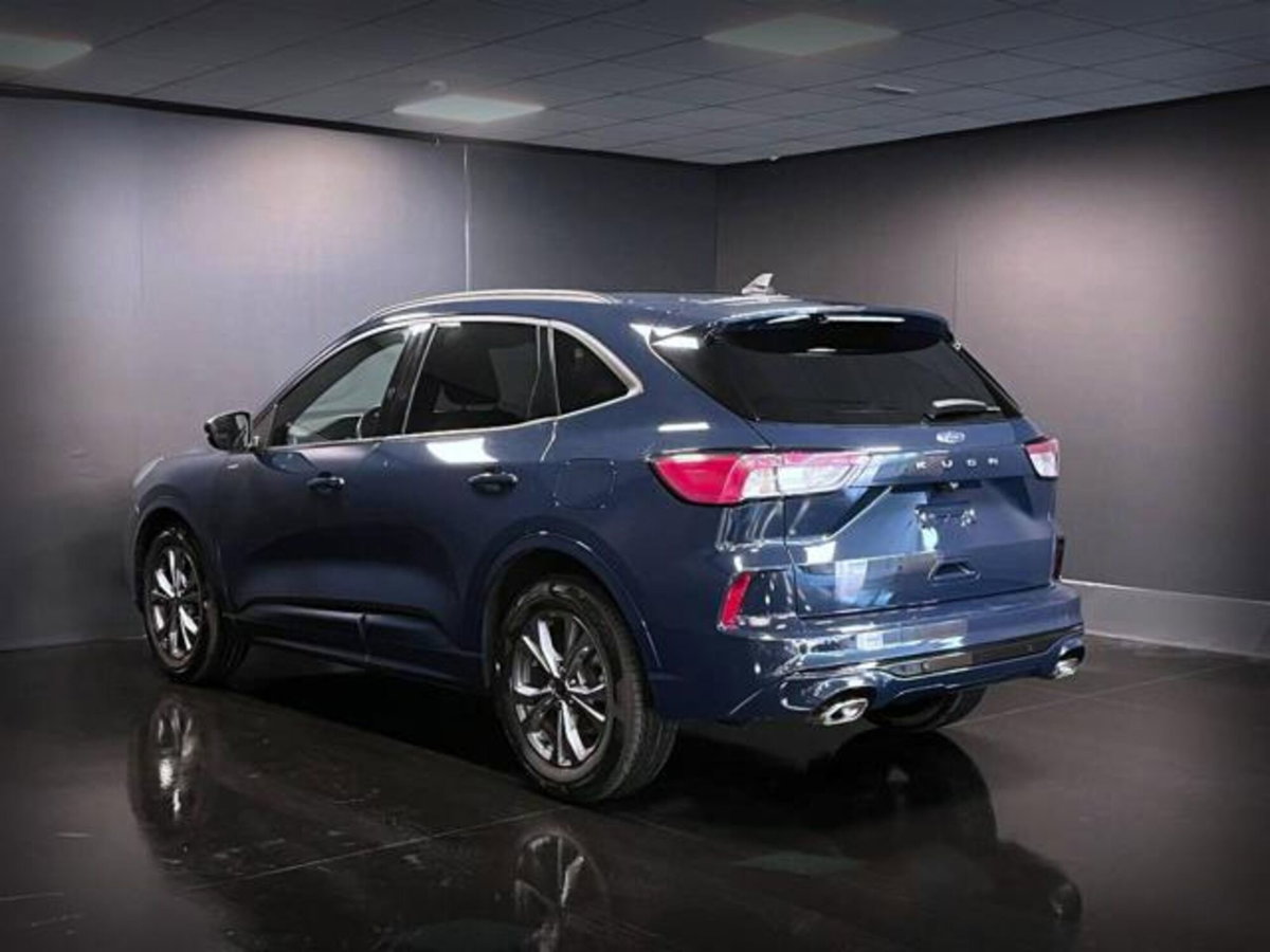 Ford Kuga 2.0 EcoBlue 120 CV aut. 2WD ST-Line X (7)