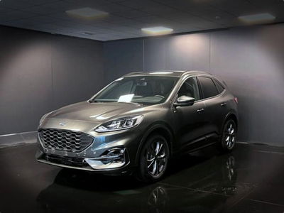 Ford Kuga 2.0 EcoBlue 120 CV aut. 2WD ST-Line X usata