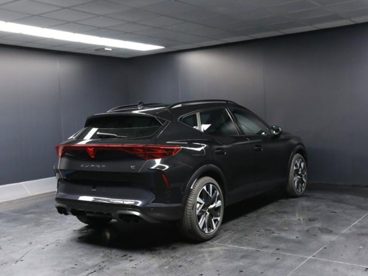 Cupra Formentor 2.0 tsi VZ 4drive 333cv dsg (3)