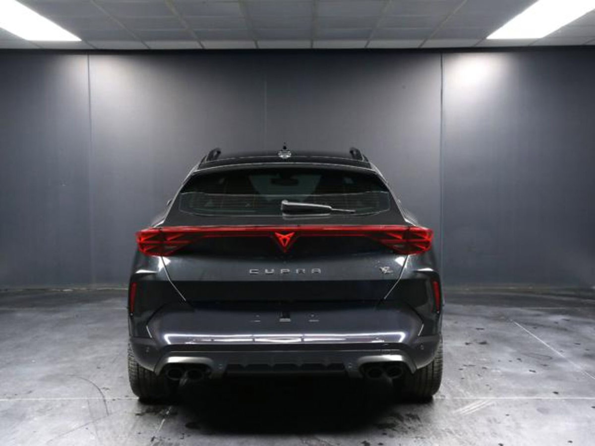 Cupra Formentor 2.0 tsi VZ 4drive 333cv dsg (4)