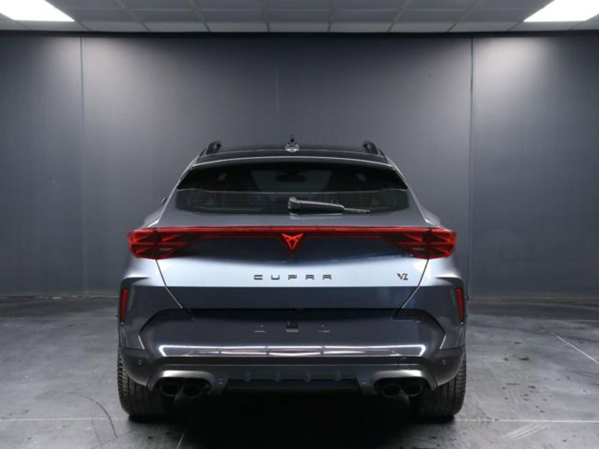 Cupra Formentor 2.0 tsi VZ 4drive 333cv dsg (4)