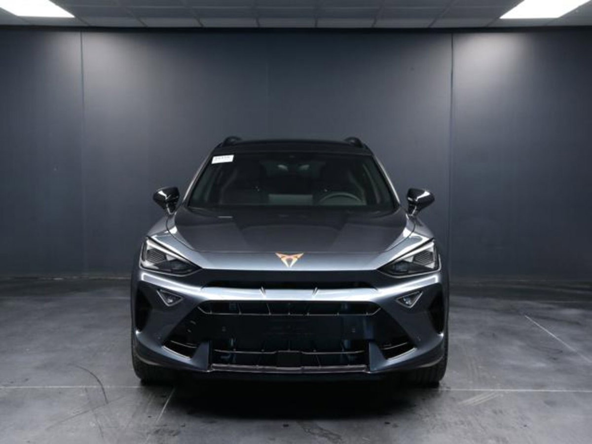 Cupra Formentor 2.0 tsi VZ 4drive 333cv dsg (6)