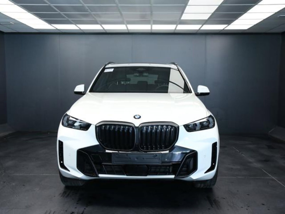 BMW X5 xdrive30d MSport Pro auto (2)