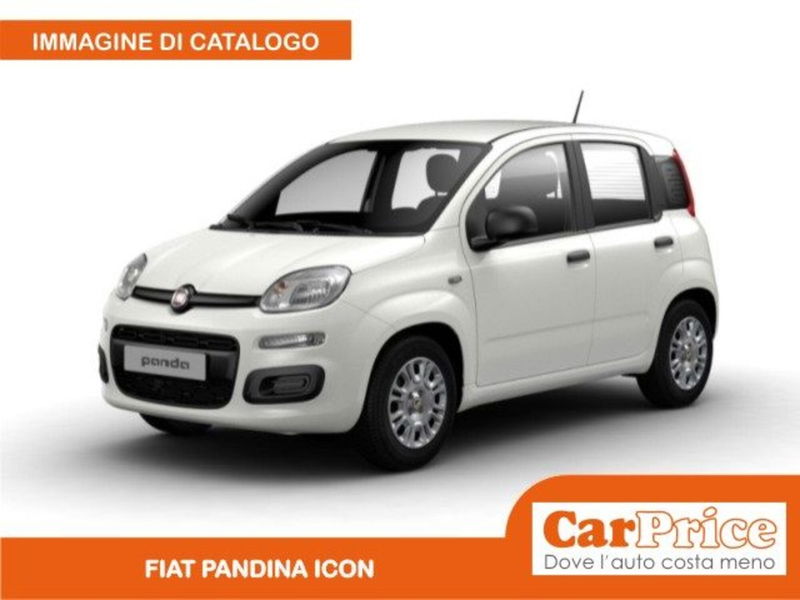 Fiat Pandina 1.0 firefly hybrid Icon s&s 65cv