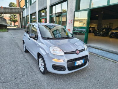 Fiat Panda 1.2 EasyPower Easy usata