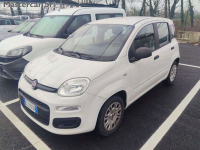 Fiat Panda 1.2 Pop usata